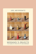 Joel Meyerowitz: Morandi's Objects