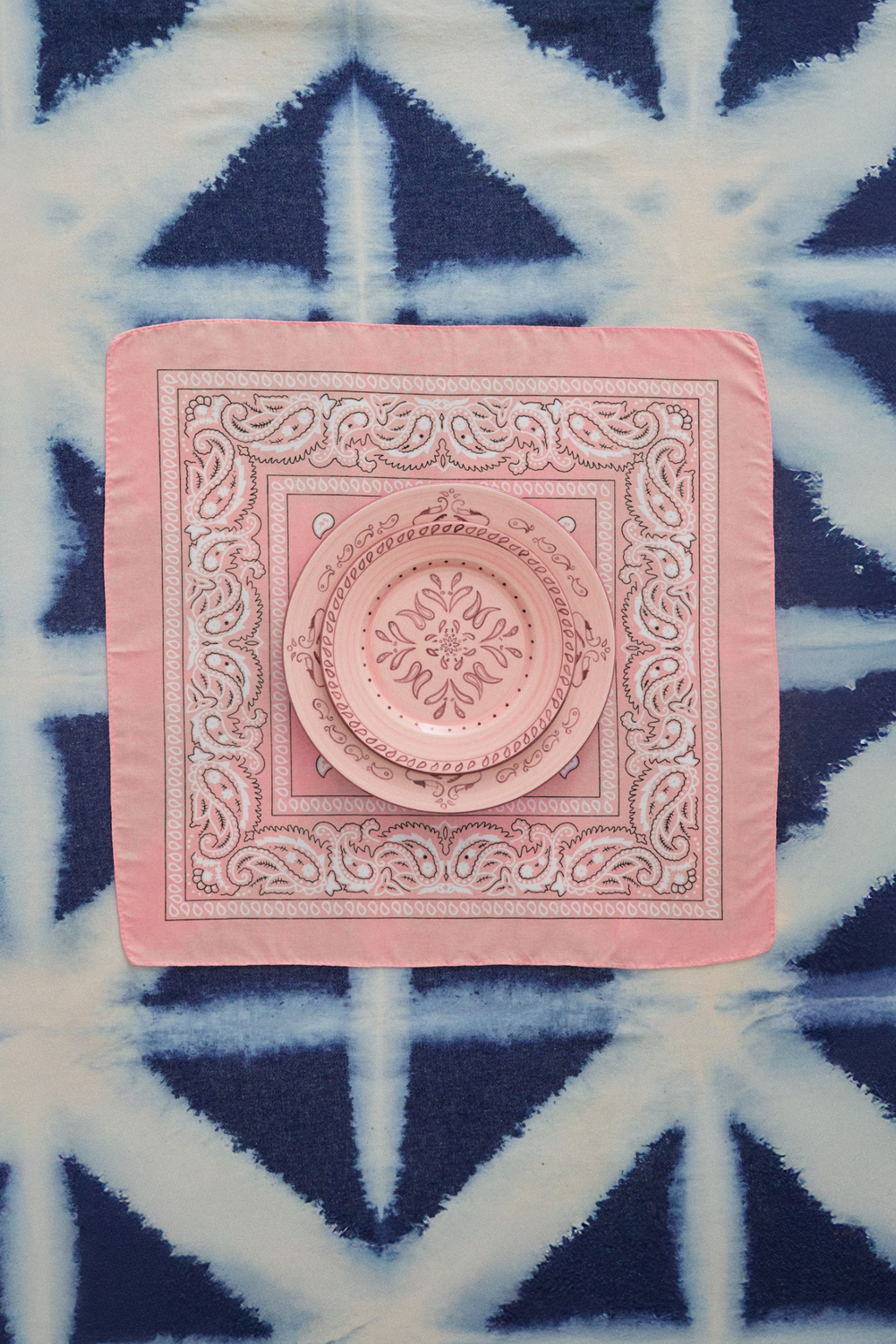 Gone Riding Dinner Plates Pink | Set of 2
