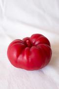 Large Heirloom Tomato Beeswax Candle | Red