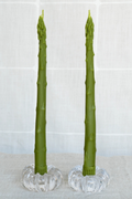 Asparagus Beeswax Candles Green | Set of 2
